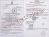Очки мужские спортивные с поляризационными линзами с зеркальным напылением POLAROID (ПОЛАРОИД) P7415C