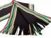 Шарф мужской шерстяной в стиле Paul Smith 162*23 см ETERNO (ЭТЕРНО) ES3016-10